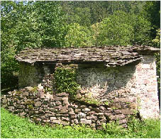 immagine1.jpg