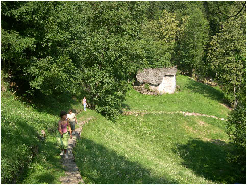 immagine100.jpg