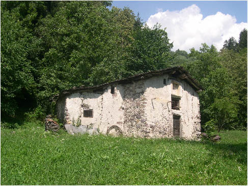 immagine102.jpg
