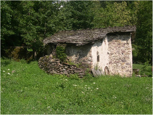 immagine103.jpg