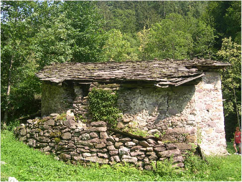immagine104.jpg
