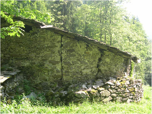 immagine105.jpg
