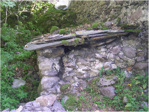 immagine106.jpg