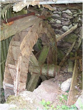 immagine110.jpg