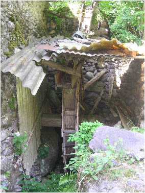 immagine111.jpg