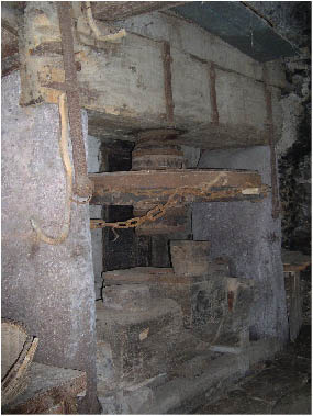 immagine114.jpg