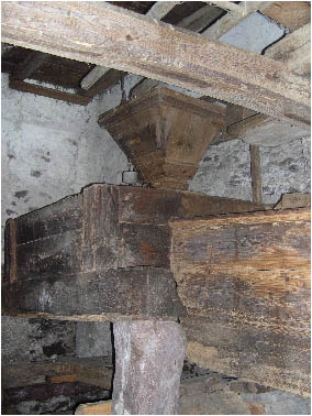 immagine115.jpg