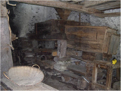 immagine117.jpg