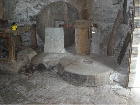 immagine118.jpg