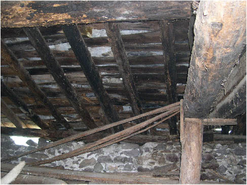 immagine119.jpg